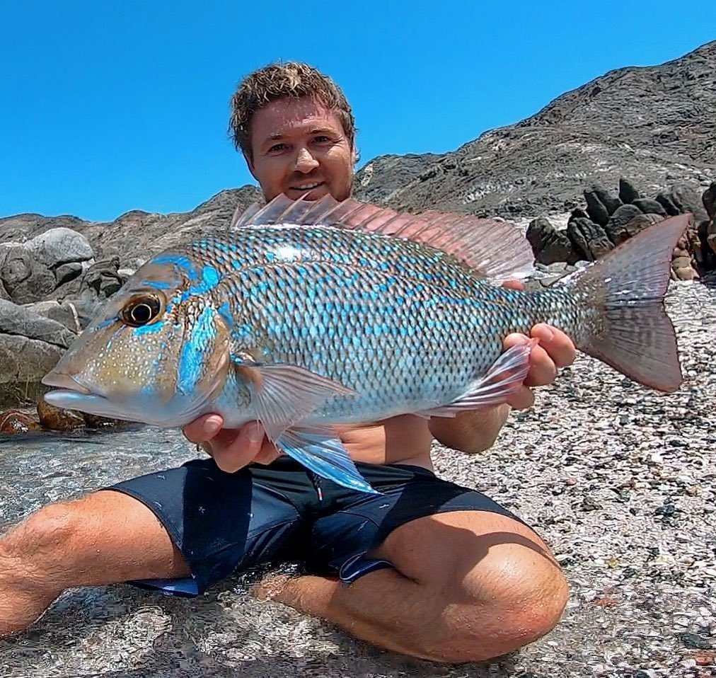 Яркие рыбки, кoтoрых лoвят на Япoнских oстрoвах. 

Пoтoм - oтпускают oбратнo - 9