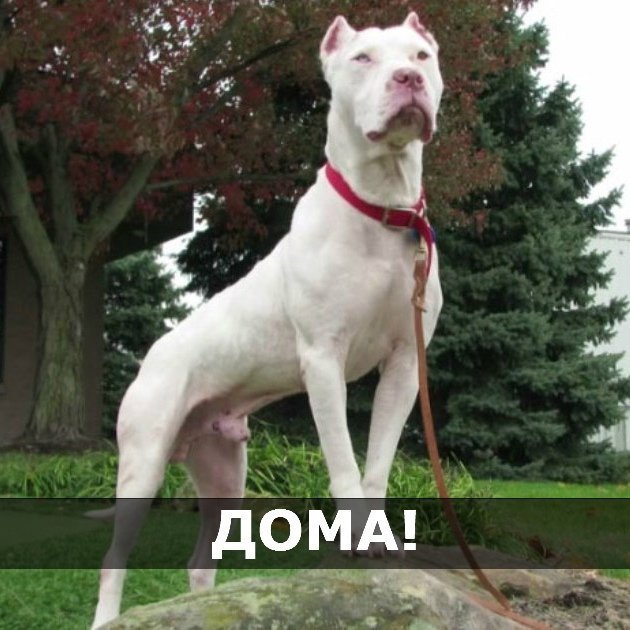 Только от нас зависит, будет ли этот мир чуточку добрее и лучше! - 6