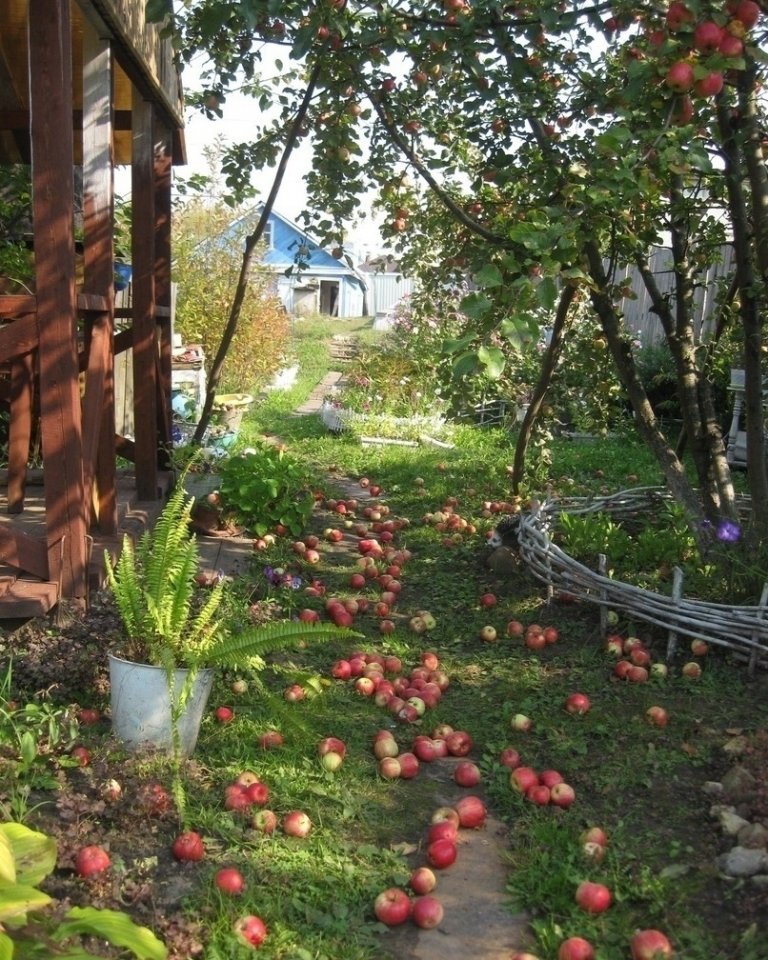 Как же хочется сейчас проснут��ся, а за окном - лето, ты в деревне, бабушка жарит оладушки. И никаких коронавирусов и других взрослых проблем... - 7