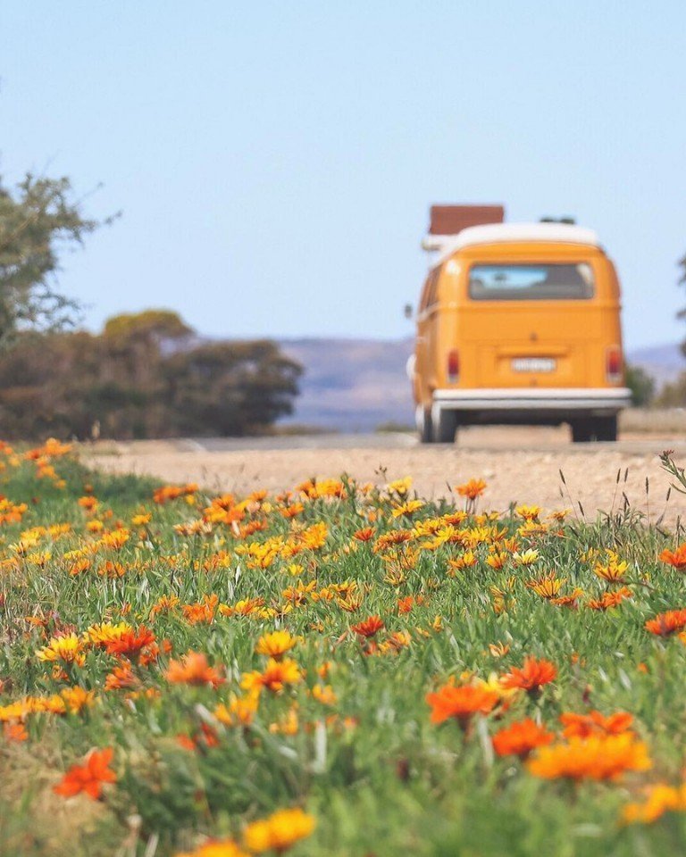 Друзья бросили все и отправил��сь колесить по Австралии на фургончике