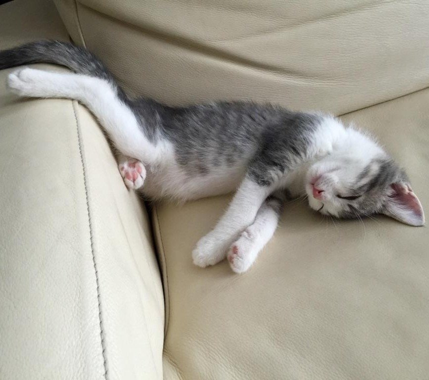 Когда целый день ничего не де��ал и жутко устал