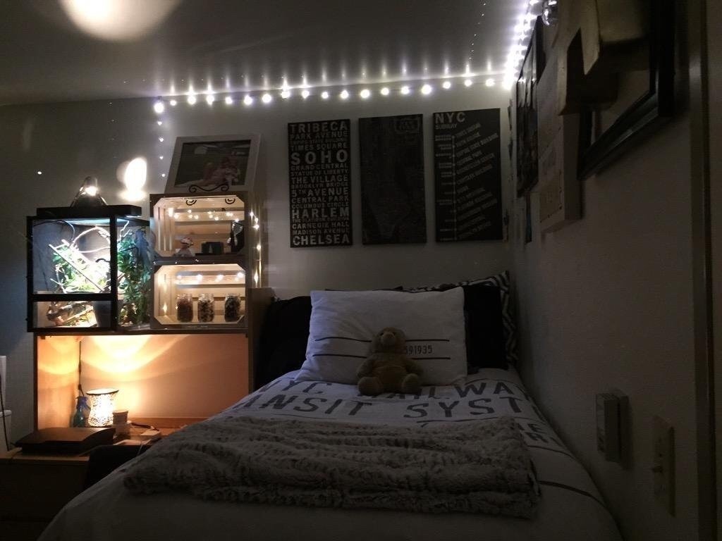 Как живут студенты в других странах - 9