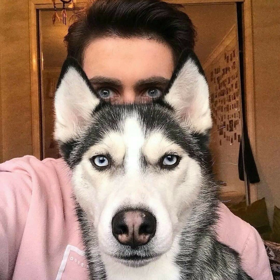 Когда ты с хозяином на одной волне - 7