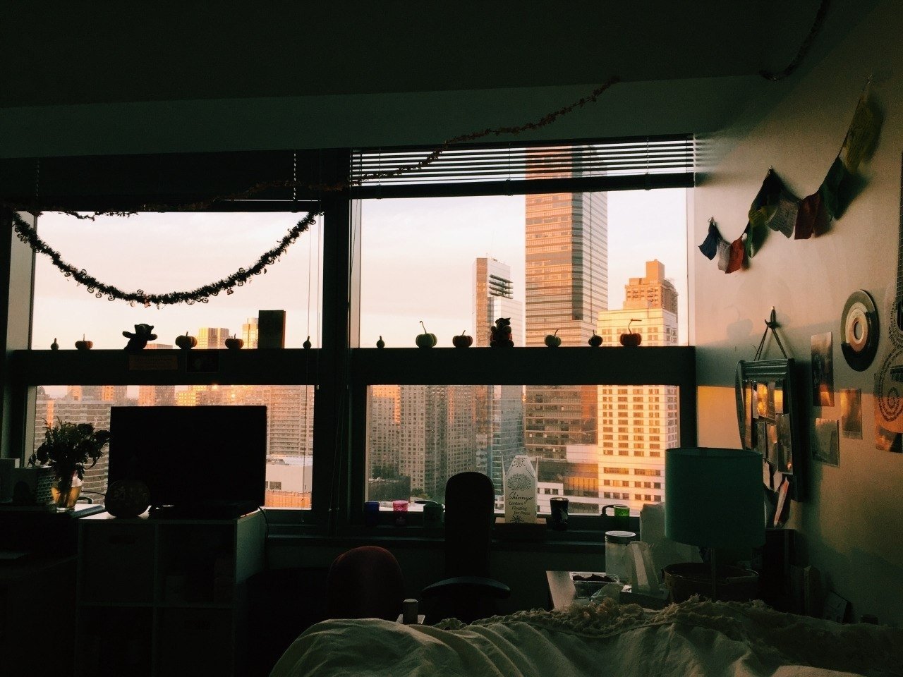 Как живут студенты в других странах - 8