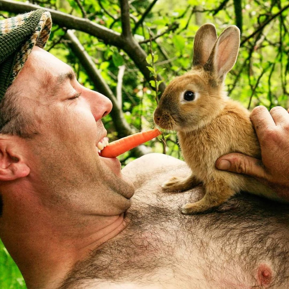 Ирландские фермеры решили не��ного потеснить австралийских пожарных и выпустили свой вариант календаря с животными - 7