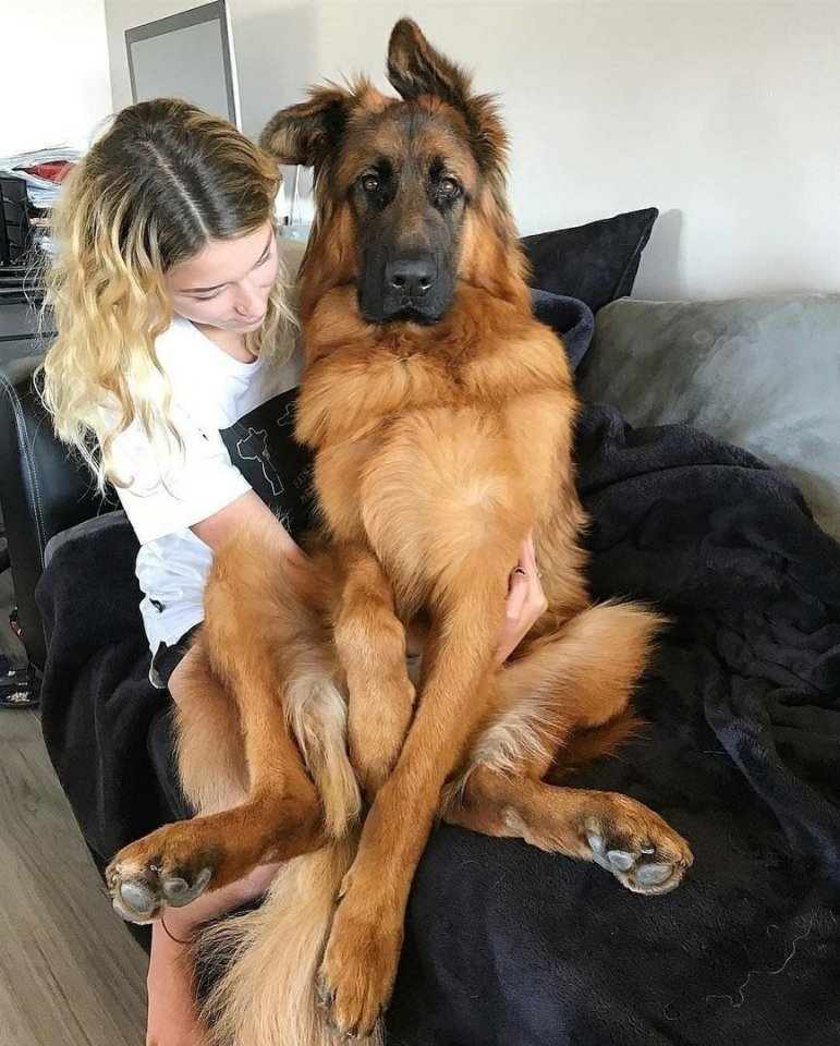 Когда малыш за год вымахал в н��стоящего богатыря - 5