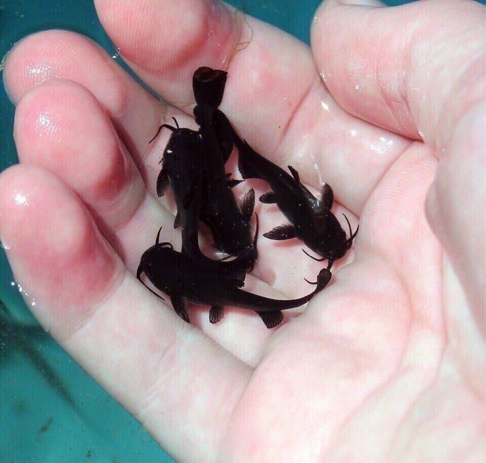 Крошки на ладошке - 7