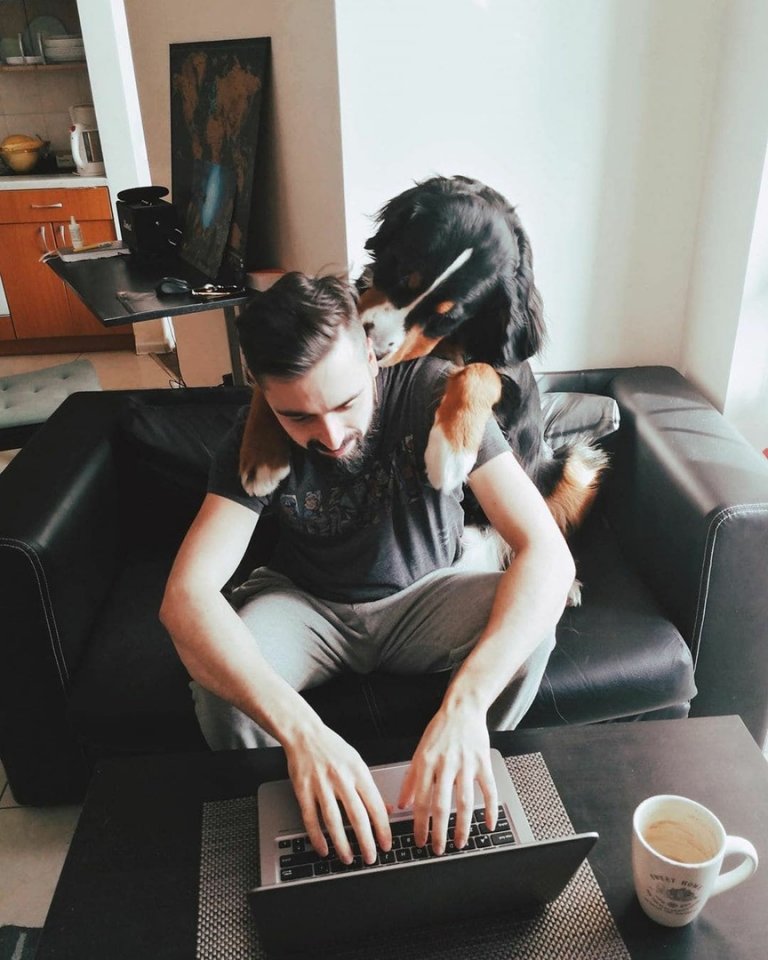 Пока мы тоскуем, сидя дома, наши питомцы счастливы, потому что хозяева рядом...