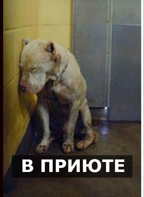 Только от нас зависит, будет ли этот мир чуточку добрее и лучше!