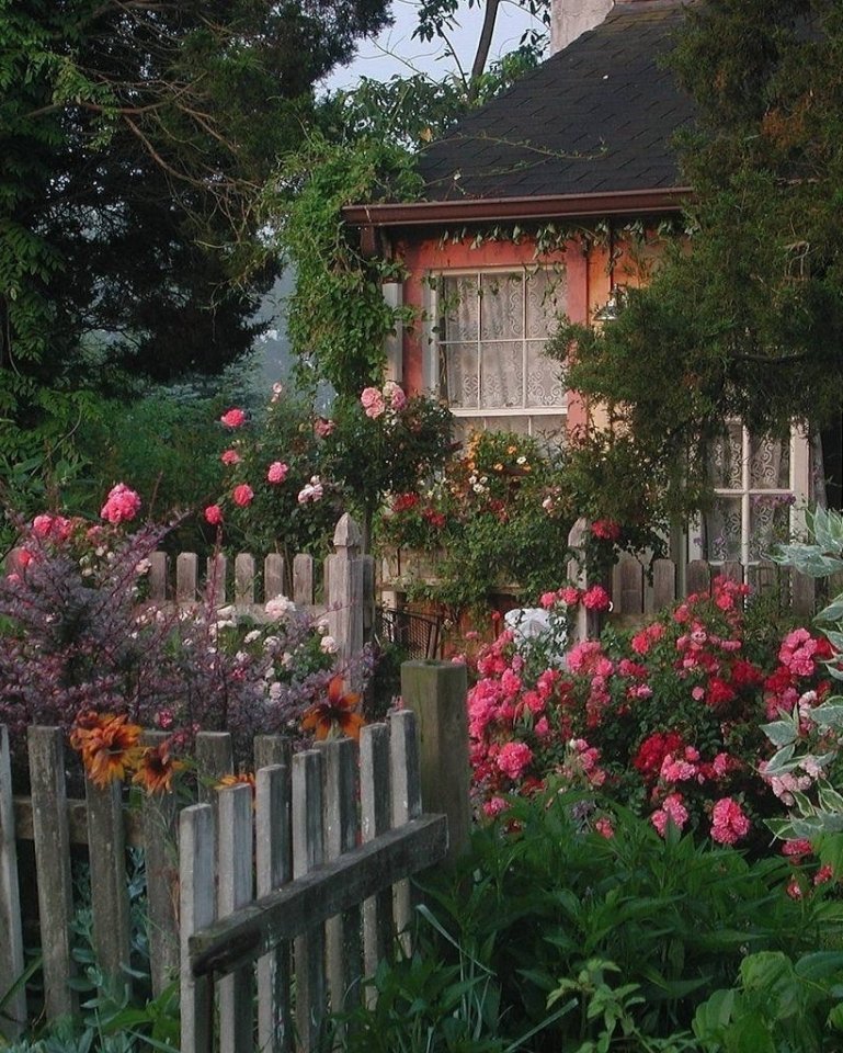 Как же хочется сейчас проснут��ся, а за окном - лето, ты в деревне, бабушка жарит оладушки. И никаких коронавирусов и других взрослых проблем...