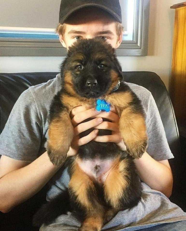 Когда малыш за год вымахал в настоящего богатыря