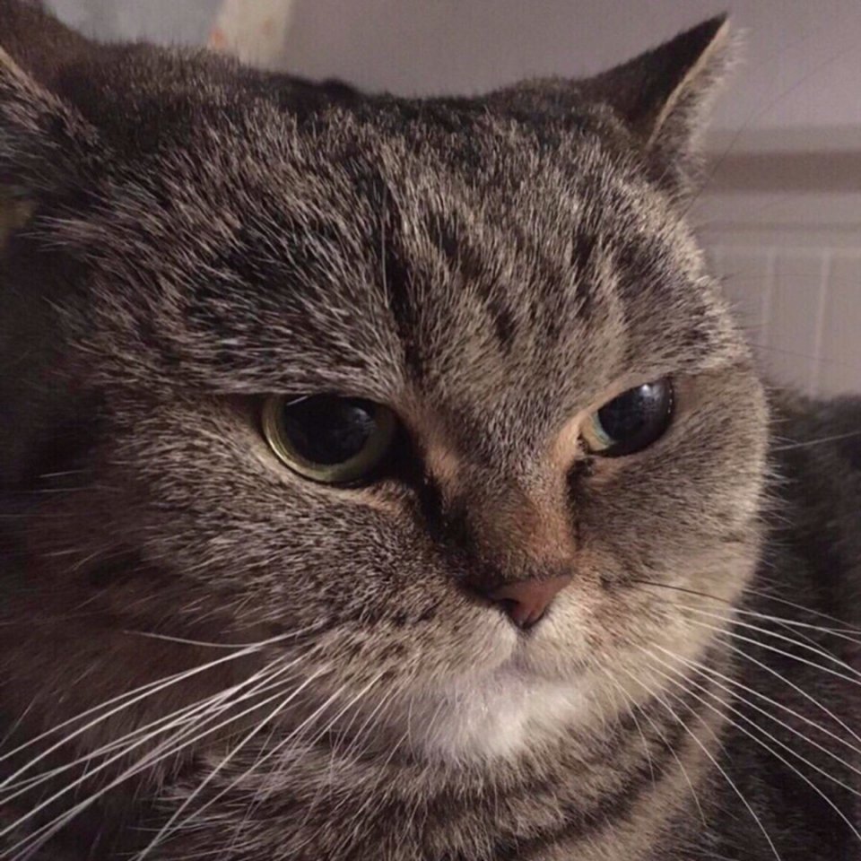 Когда пухлые щечки украшают - 7