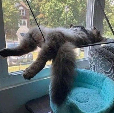 Когда целый день ничего не де��ал и жутко устал - 5