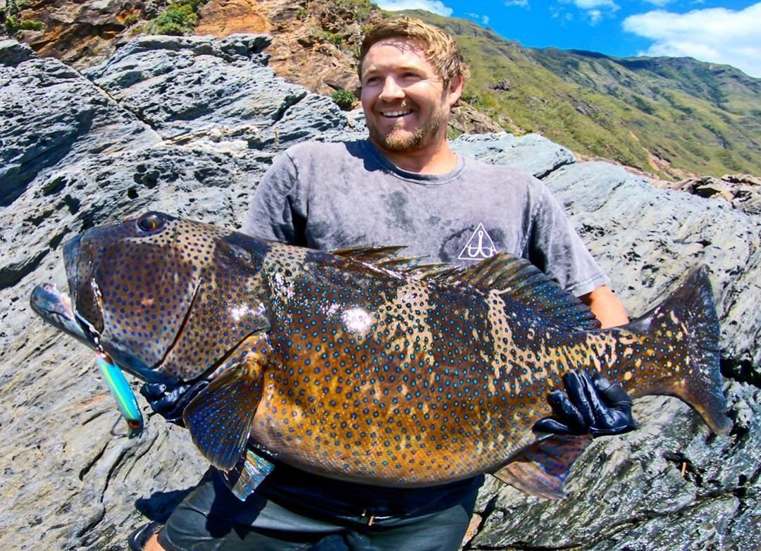 Вот таких ярких рыбок ловят н�� Японских островах. А потом - отпускают обратно - 6