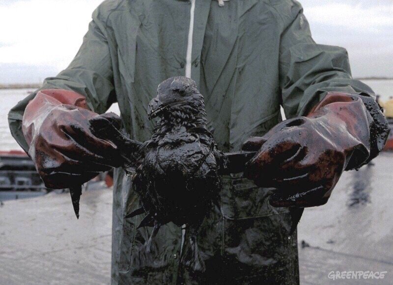 Страшные фотографии... Мы сами уничтожаем свой дом... - 5