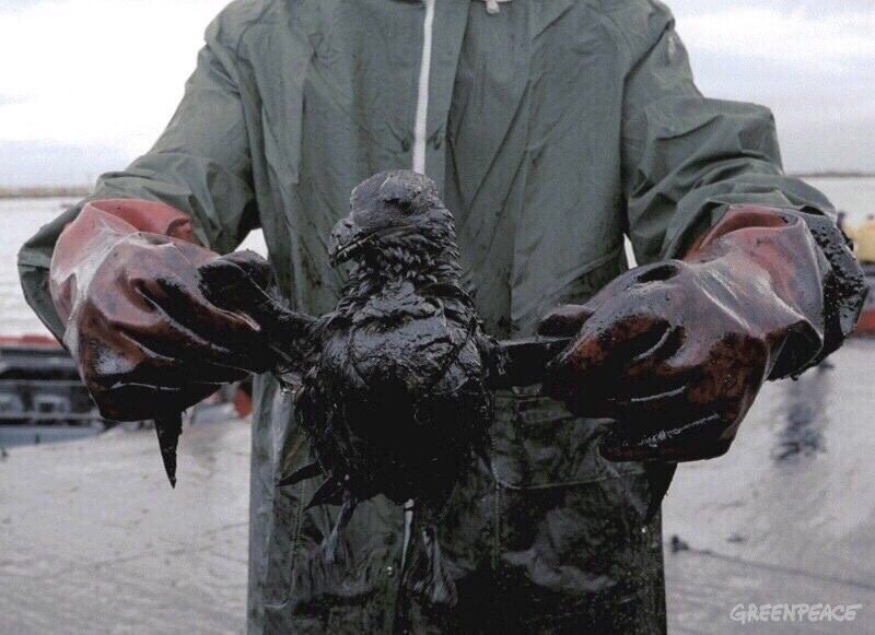 Мы сами уничтожаем наш дом. И это ужасно... - 5