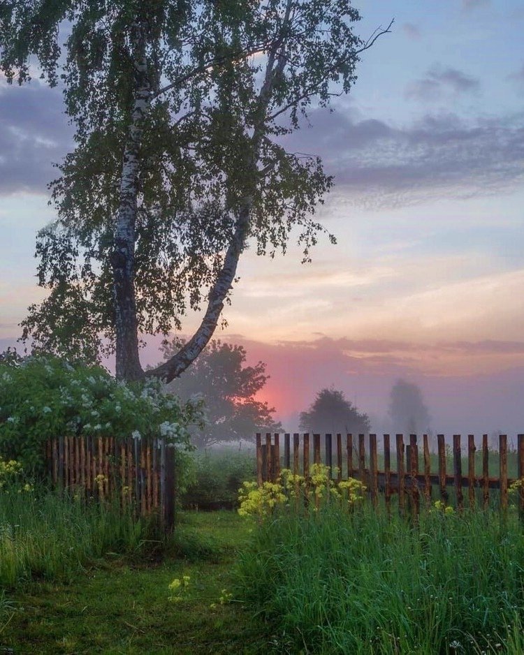 Как же хочется сейчас проснут��ся, а за окном - лето, ты в деревне, бабушка жарит оладушки. И никаких коронавирусов и других взрослых проблем... - 6