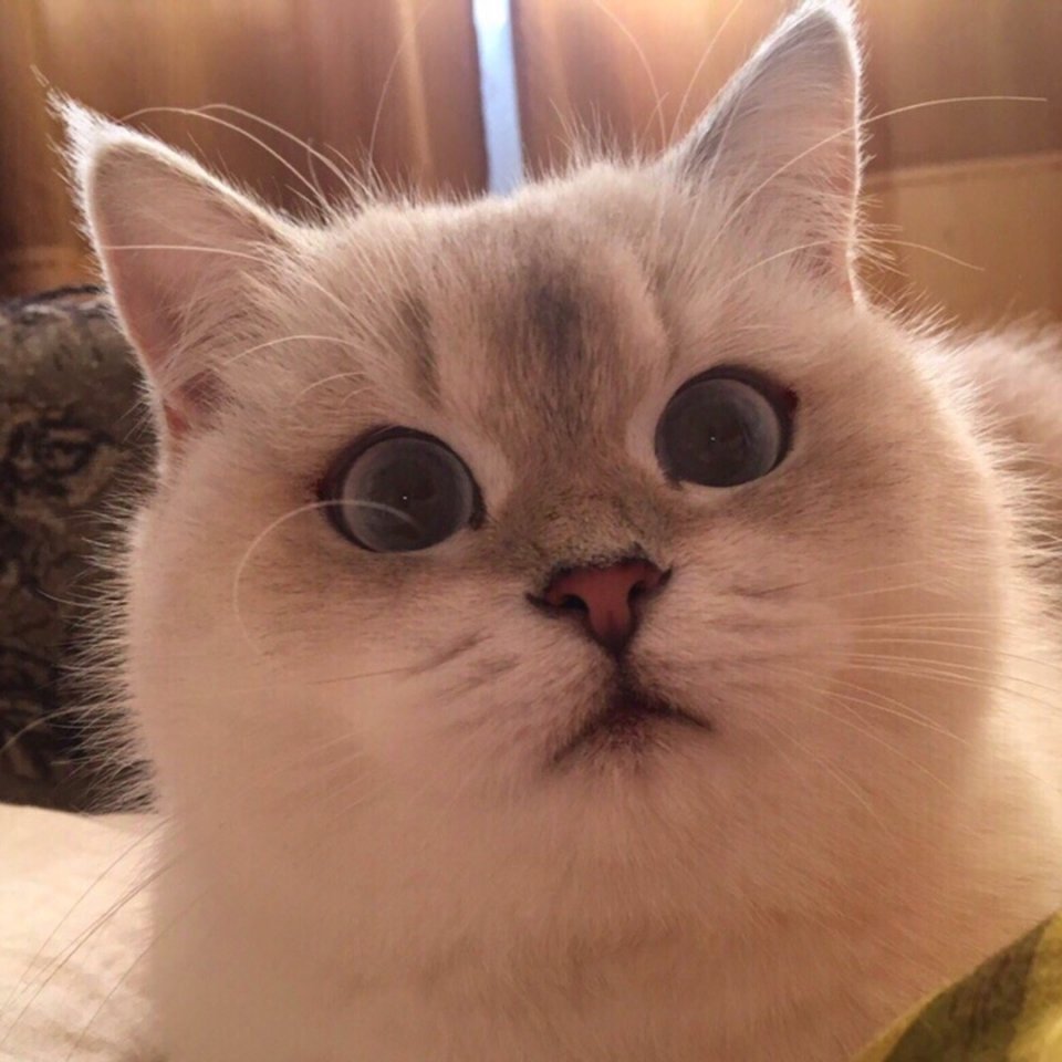 Когда пухлые щечки украшают - 5