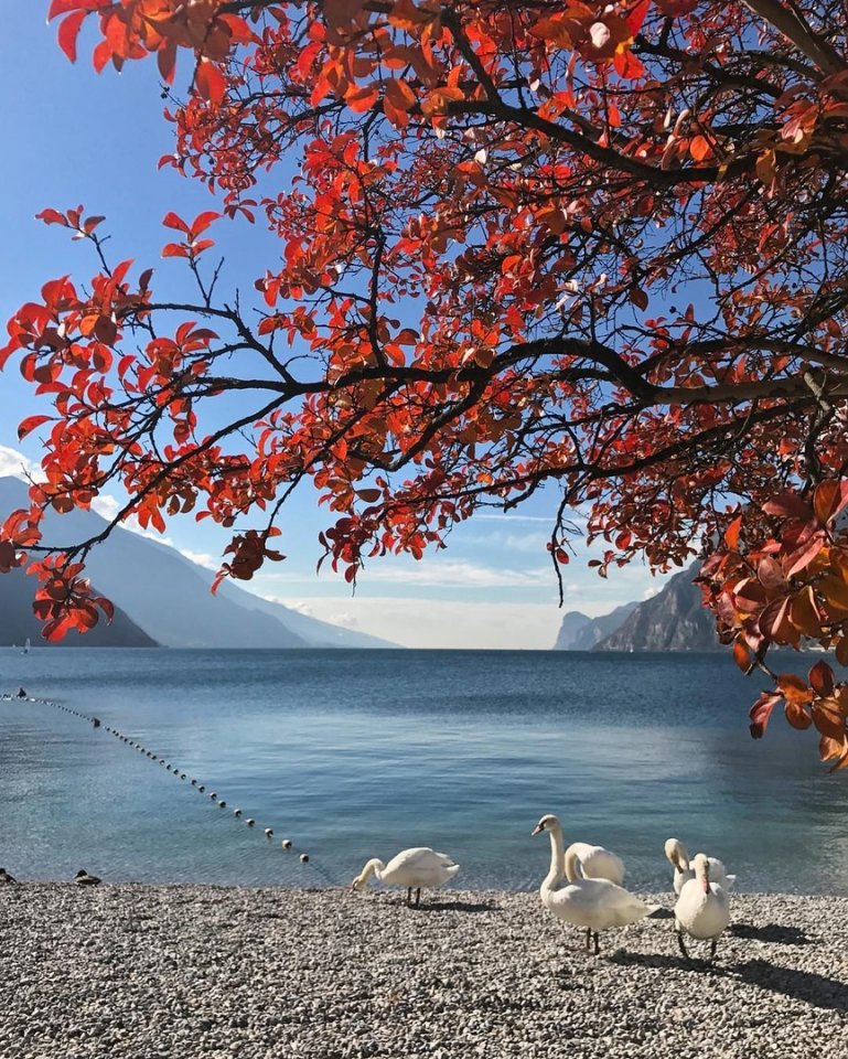 Рива-дель-Гарда - коммуна в Ита��ии. Остается только любоваться такой красотой на фото... - 7