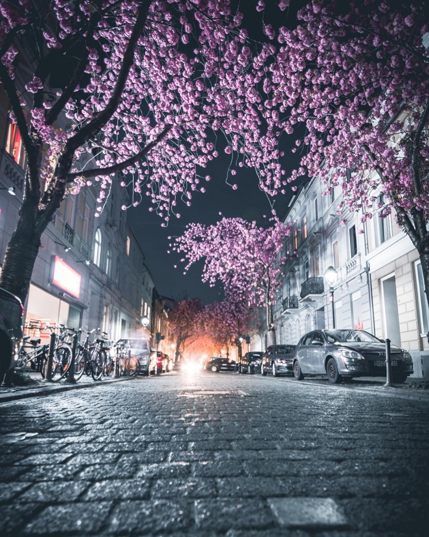 Одна из самых красивых улиц мира находится в Бонне, Германия