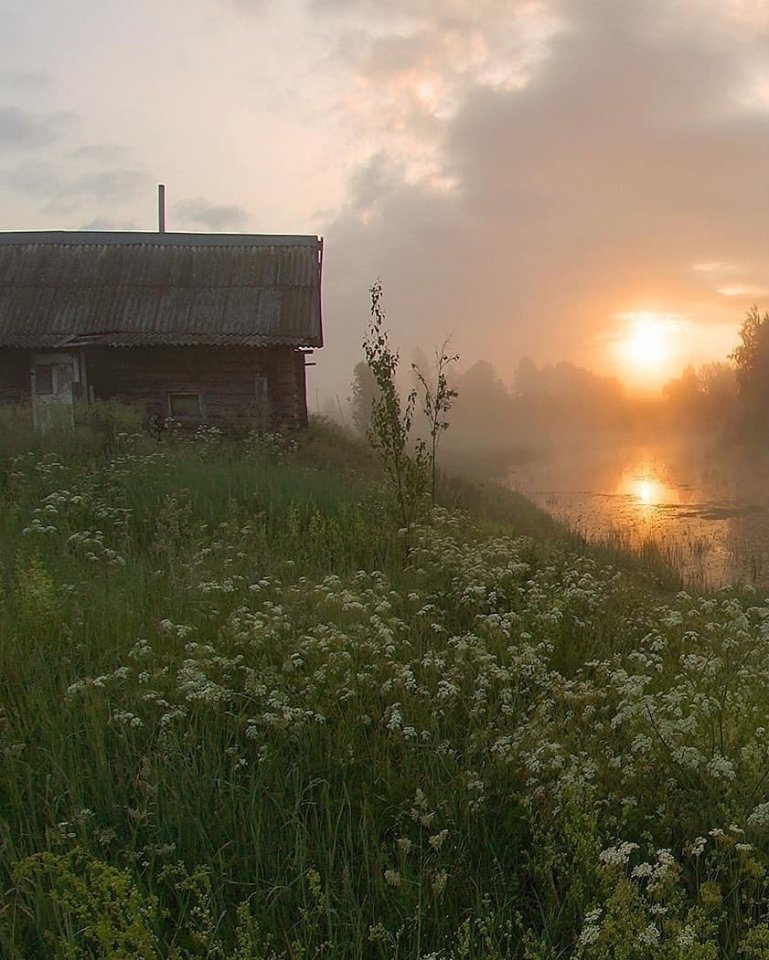 Как же хочется сейчас проснут��ся, а за окном - лето, ты в деревне, бабушка жарит оладушки. И никаких коронавирусов и других взрослых проблем... - 5