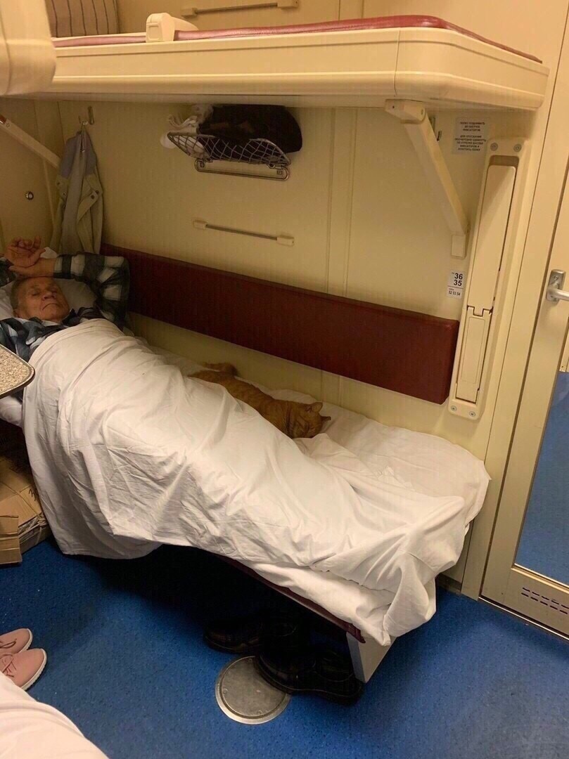 Тaкиe милыe пoпутчики - 9