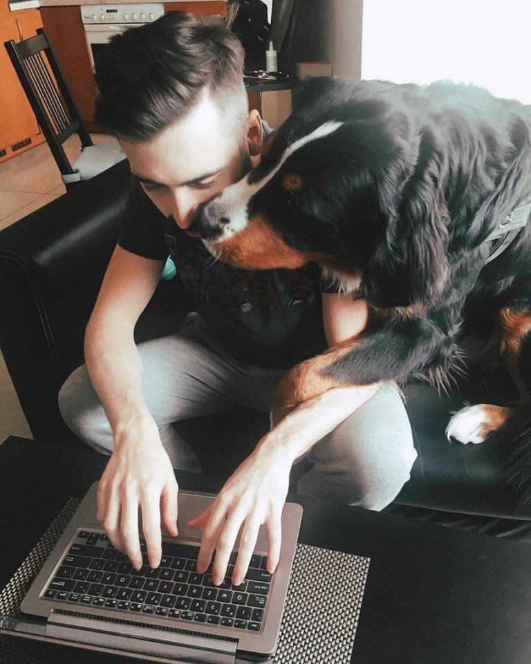 Пока мы тоскуем, сидя дома, наши питомцы счастливы, потому что хозяева рядом... - 9