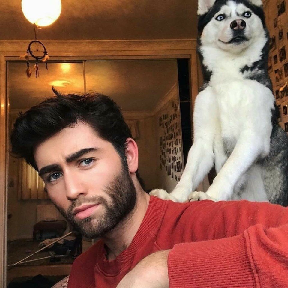 Когда ты с хозяином на одной волне