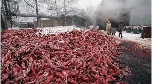 Страшные фотографии... Мы сами уничтожаем свой дом... - 6