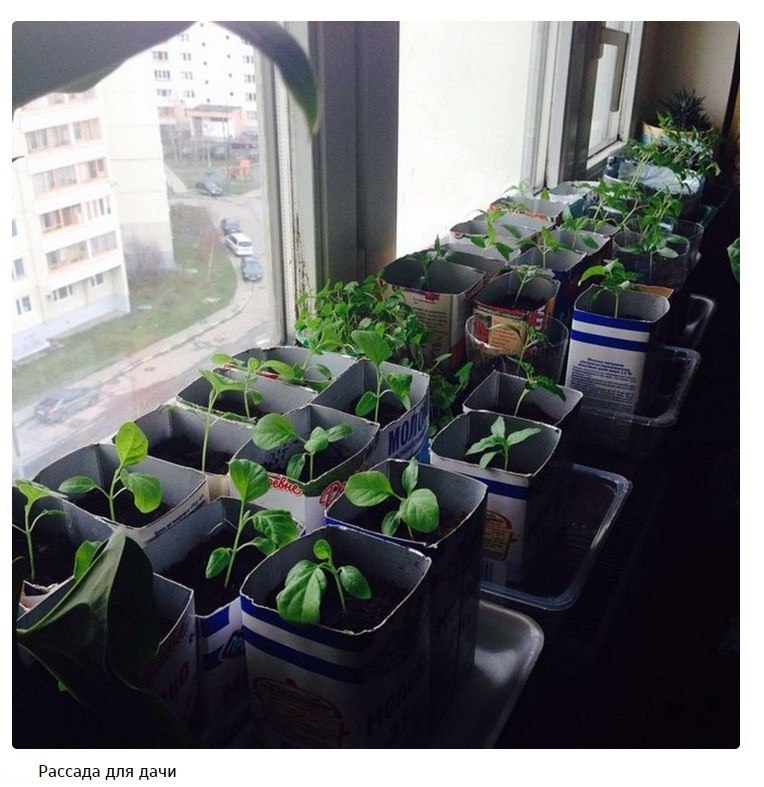 Интересности, которые можно найти в доме у любой российской бабушки. - 7