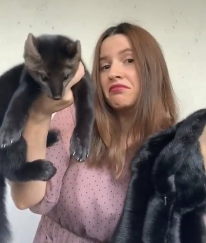 Домашняя соболица по имени Умора, которую девушка спасла от участи стать шубой