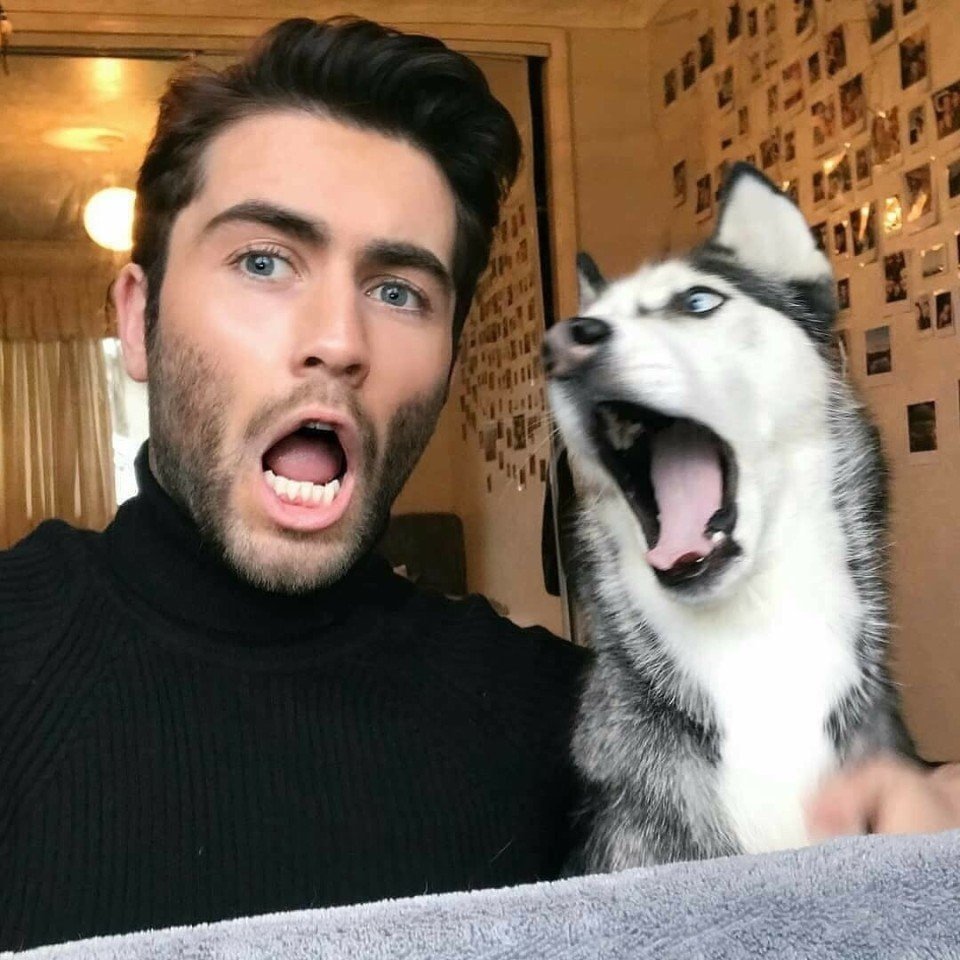 Когда ты с хозяином на одной волне - 5