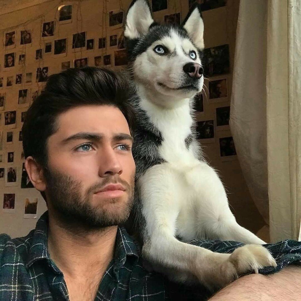 Когда ты с хозяином на одной волне - 6