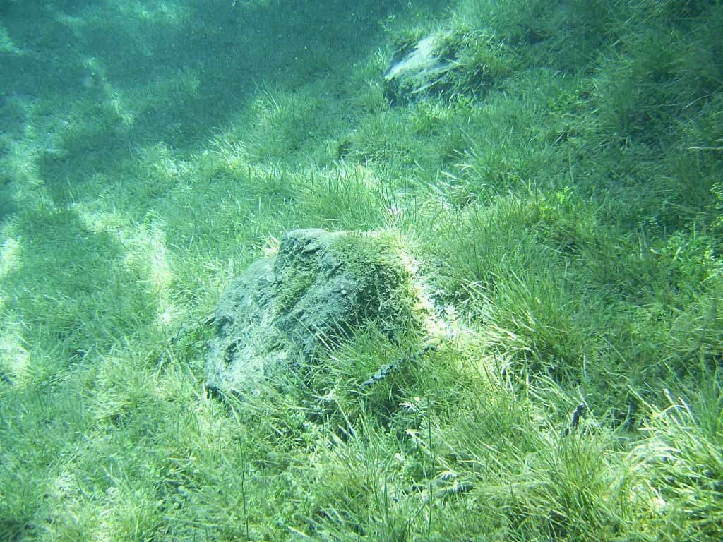 Изумрудное озеро Грюнер-Зе в ��встрии зимой имеет глубину всего 1-2 метра, а весной талая вода стекает с гор, затапливая местность вокруг, и глубина увеличивается до 12 метров - 8