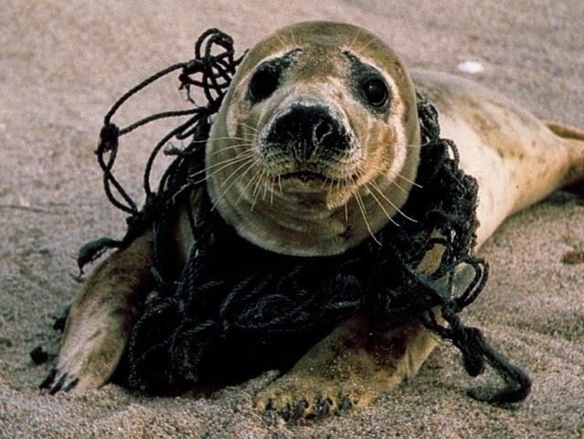 Мы - раковая опухоль на планете Земля: