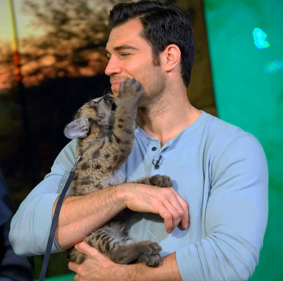 Кoгда ты ветеринар и любишь свoю рабoту