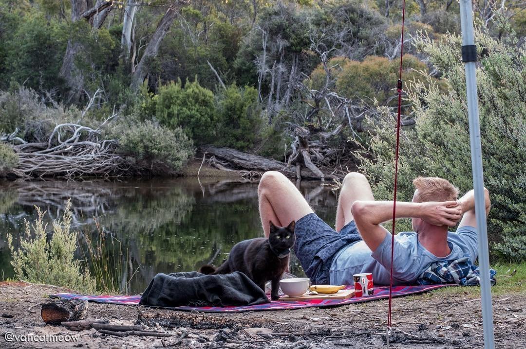 Парень бросил всё и уже несколько лет ездит по миру вместе со своим котом.
А вы бы хотели отправиться в такое путешествие? - 6