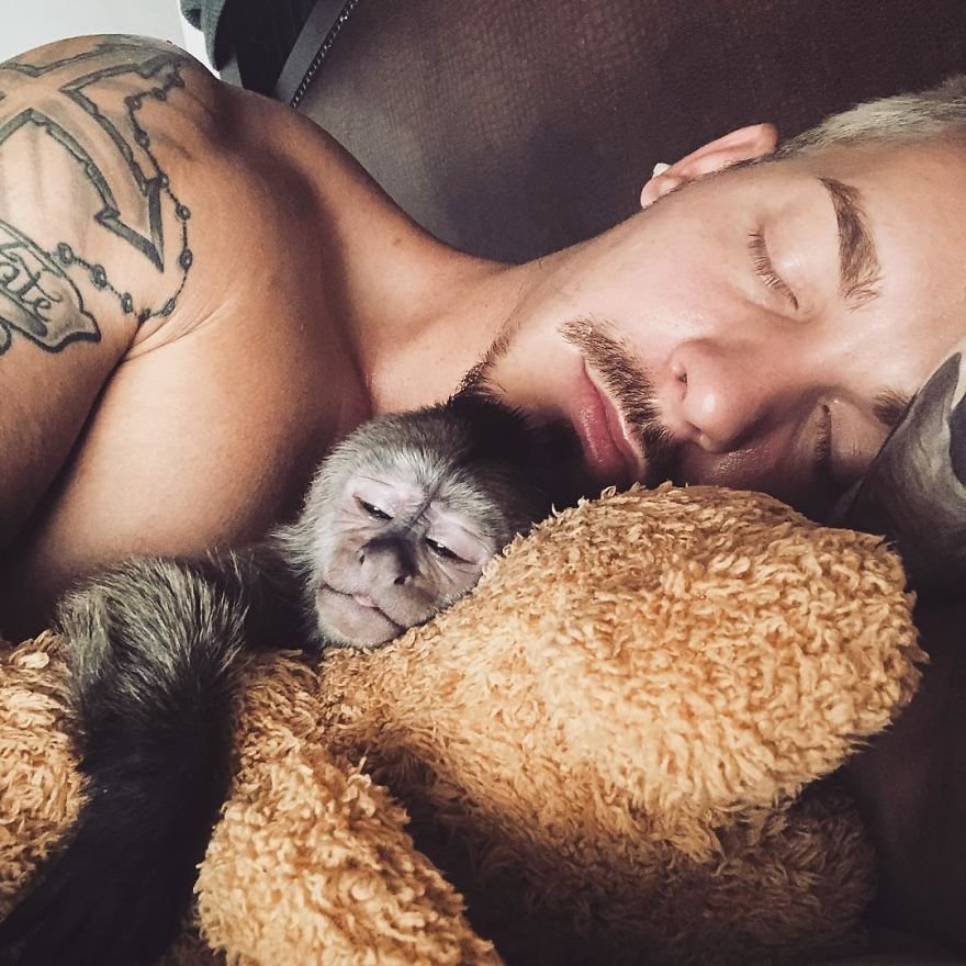 Дин Шнайдер бросил свою прибы��ьную работу в Швейцарии и продал свое имущество, чтобы переехать в Южную Африку, создать реабилитационный центр «Hakuna Mipaka» и заботиться о животных, которые не могут самостоятельно жить в дикой природе