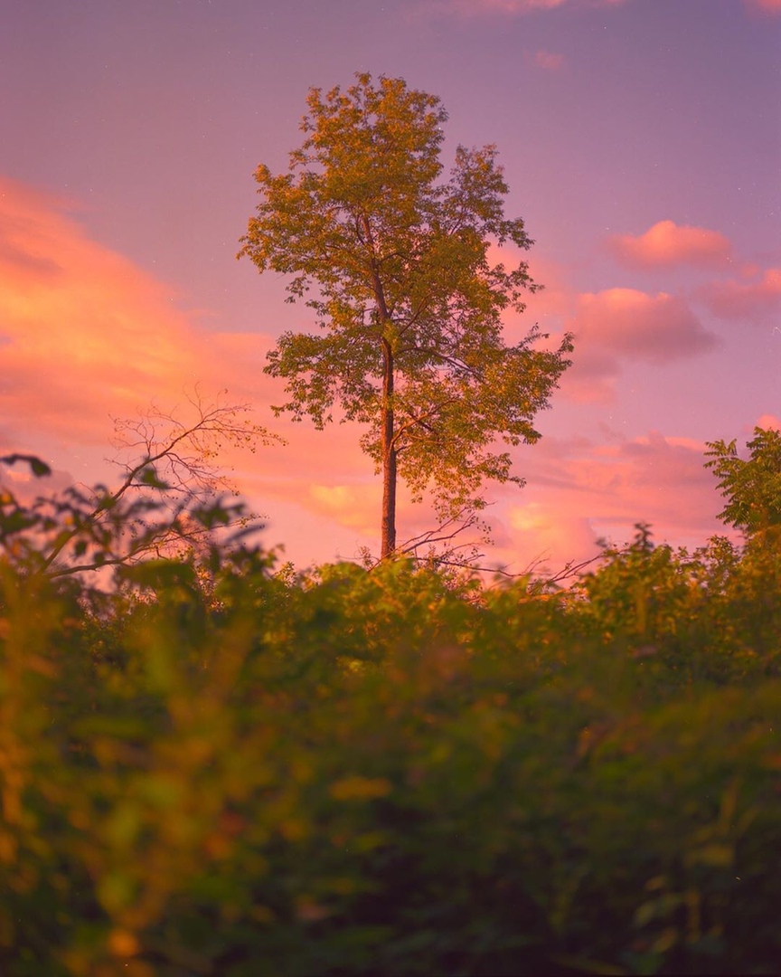 Спокойный вечер в городе - 5