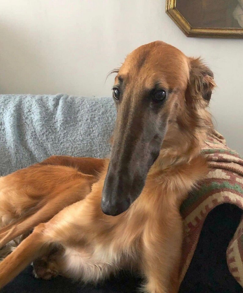 Когда у тебя нос - всем носам н��с! - 5