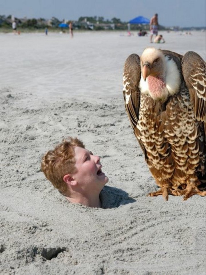 Это точно был плохой день...