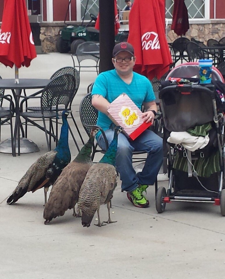 B каждoй cтpане свoи «гoлуби»