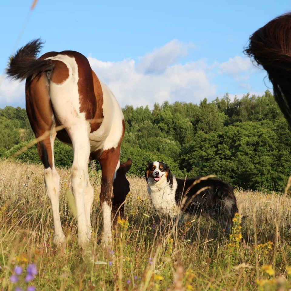 Счастье живет в деревне. Согл��сны?