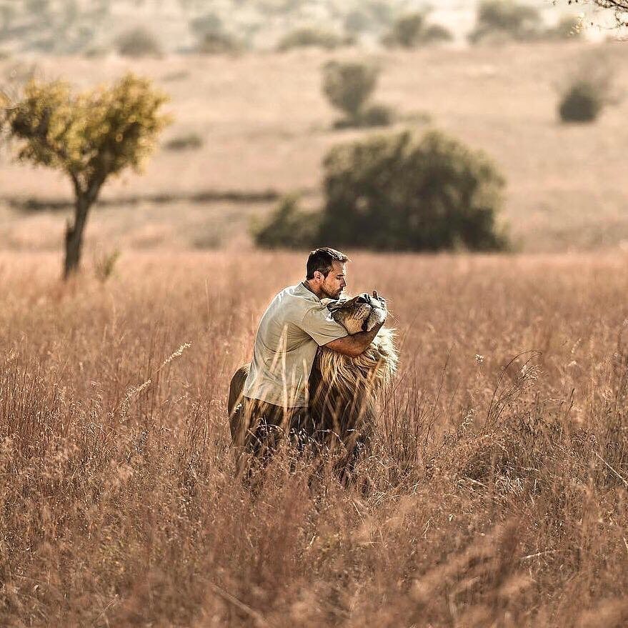 Потому что львы - тоже котики - 6