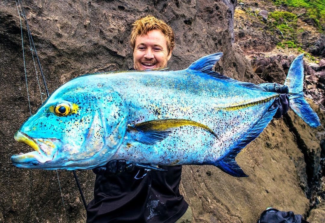 Вот таких ярких рыбок ловят н�� Японских островах. А потом - отпускают обратно - 8