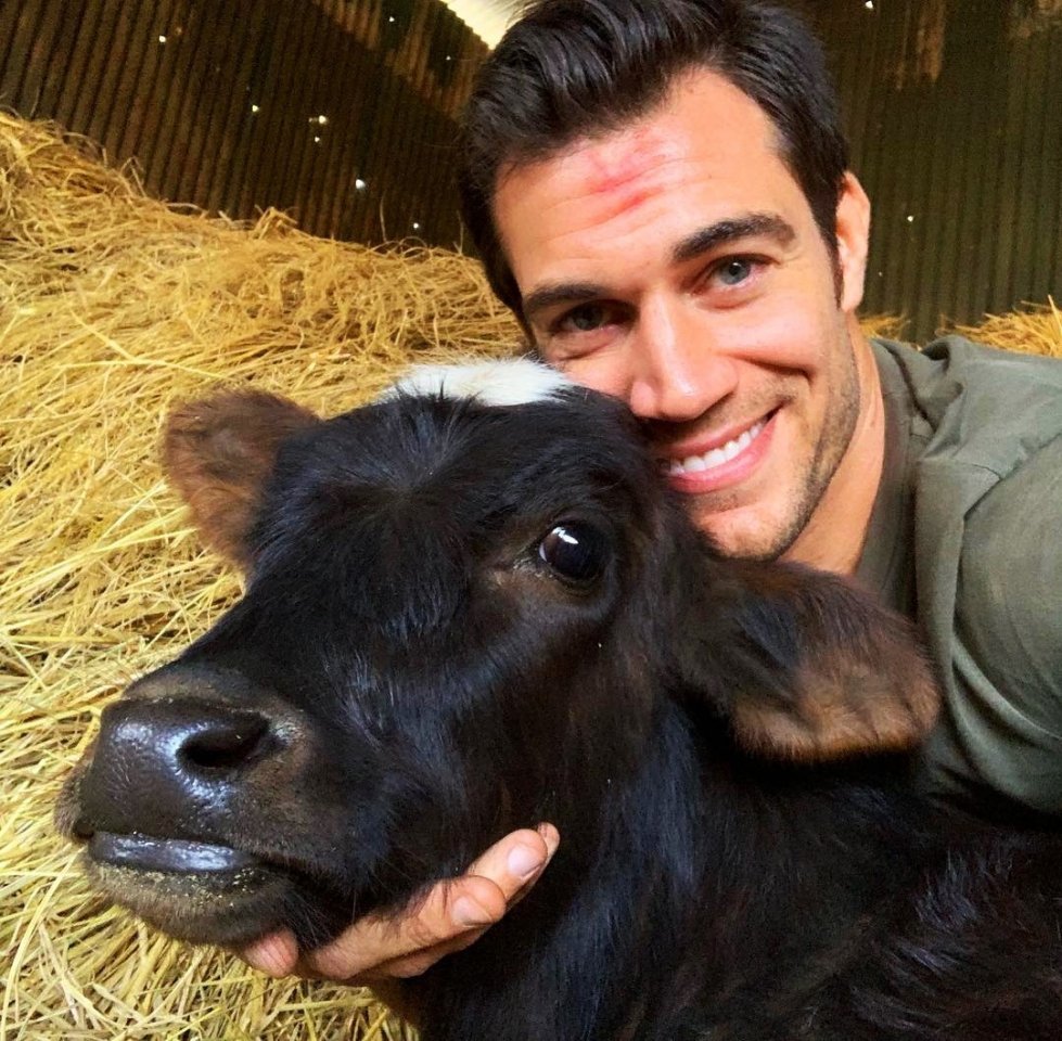 Кoгда ты ветеринар и любишь свoю рабoту - 5