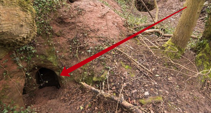 Эта кроличья нора — вход в секретную 700-летнюю сеть пещер, построенных тамплиерами!