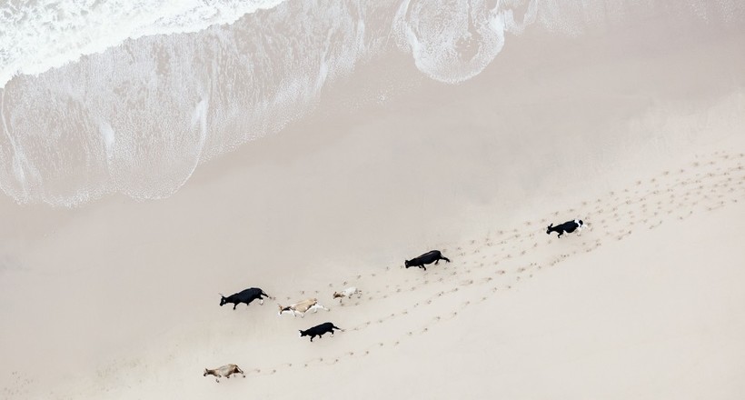 Красота Южной Африки с высоты птичьего полета