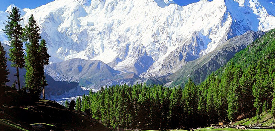 4 cамые удивительные горные вершины мира, которые стоит покорить