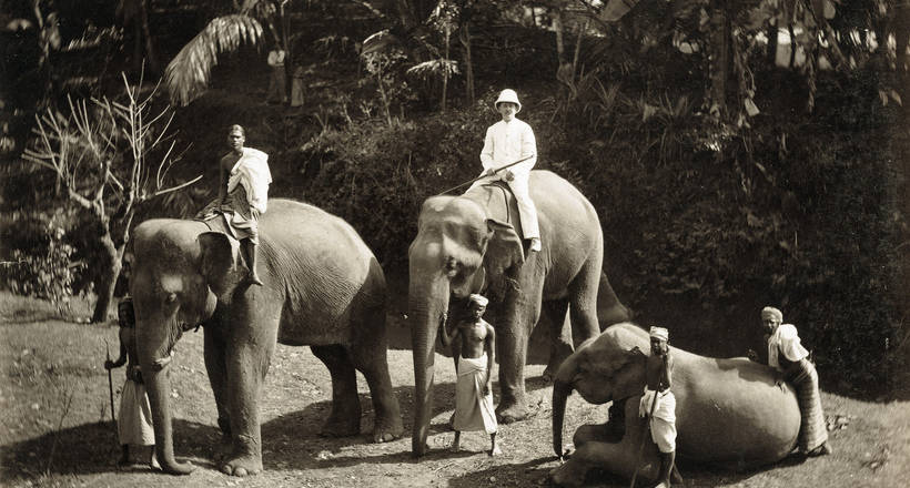 17 редких фотографий повседневной жизни Шри-Ланки в 1880-х годах